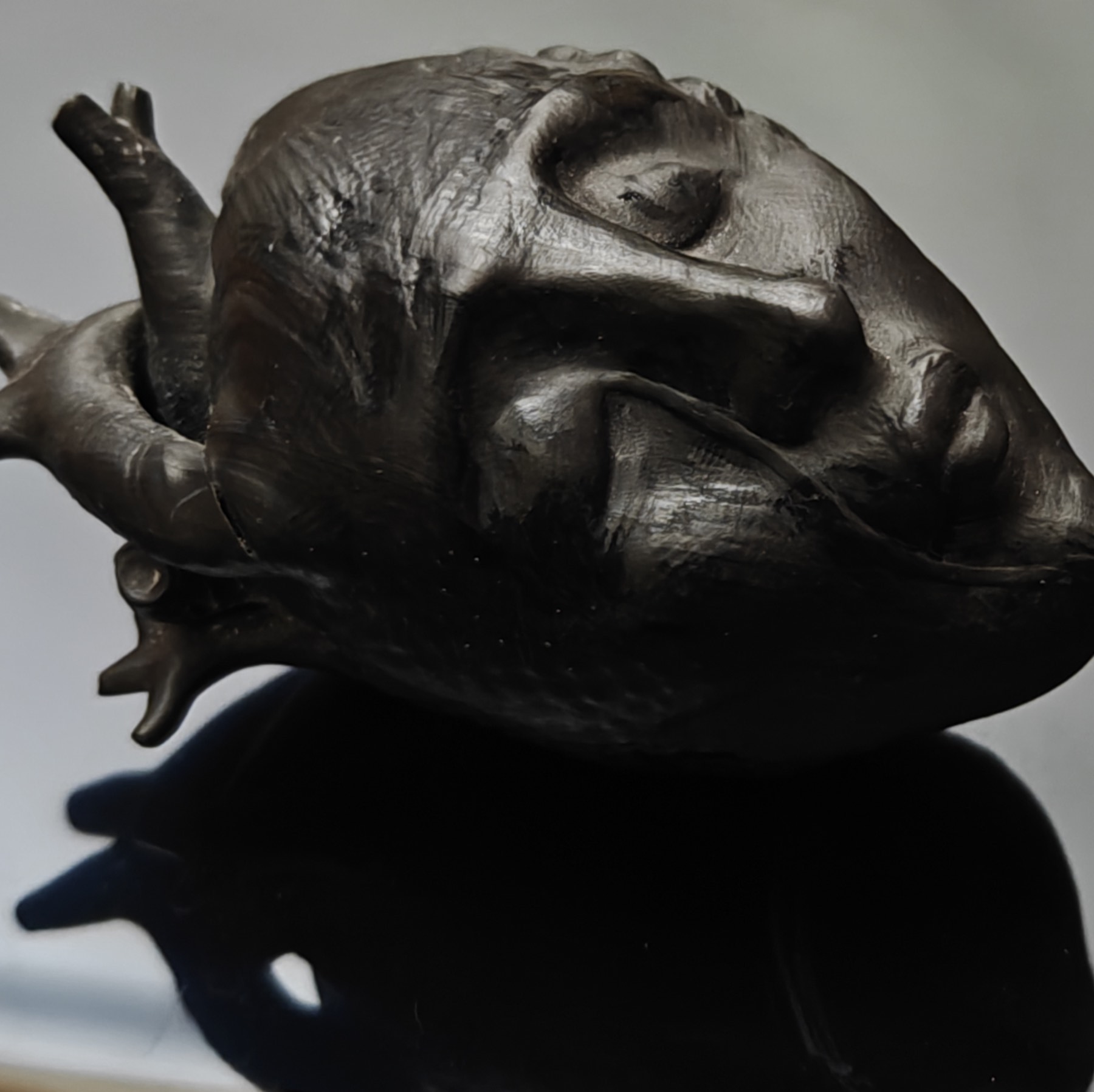 Forma scura