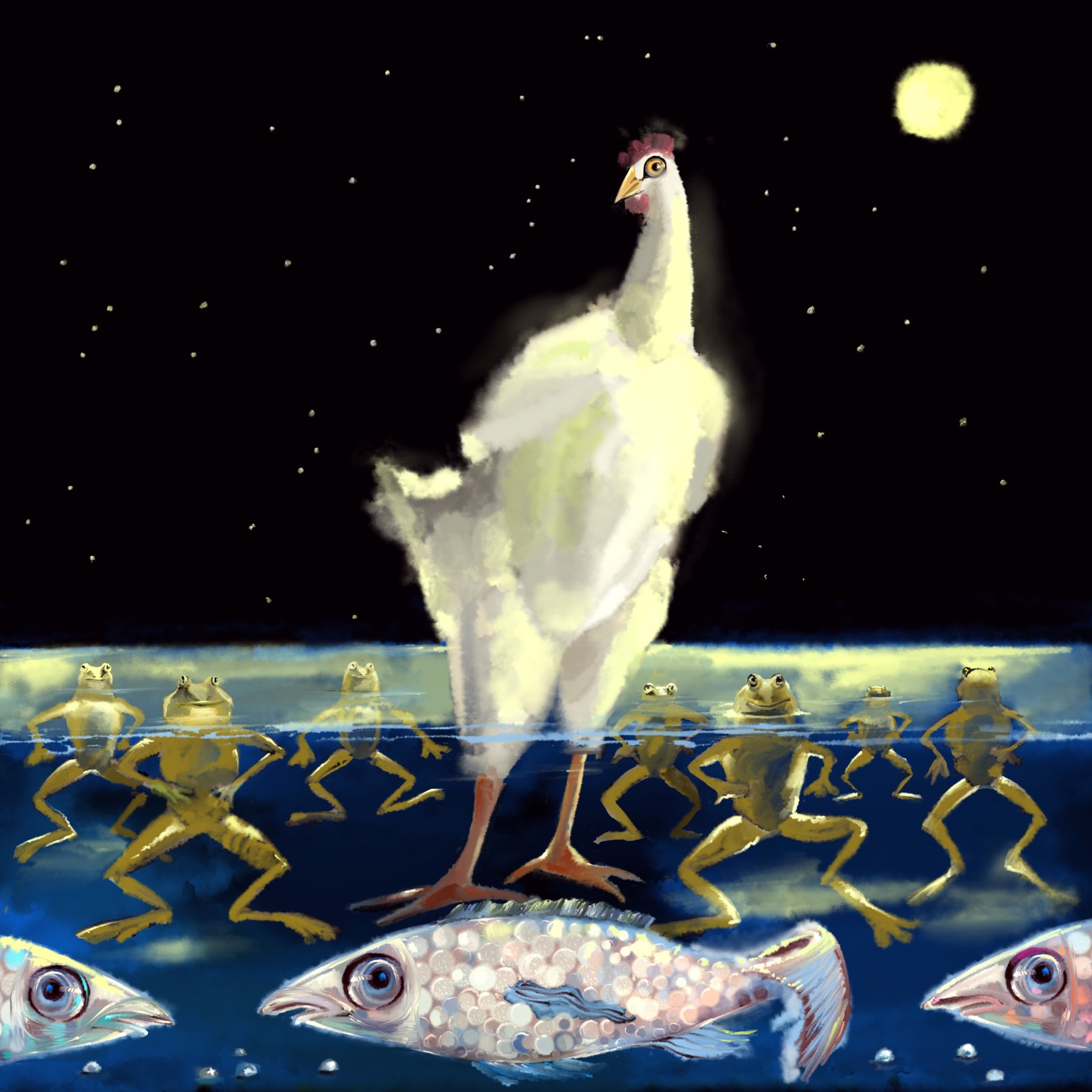 Uccello notturno